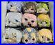 Fate_Apocrypha_PoteKoro_Mascot_Plush_Complete_set_of_9_Free_Shipping_from_Japan_01_jer