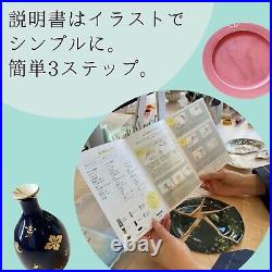 Kintsugi Repair complete Kit professional set From Japan