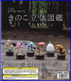 Mushroom 3D Picture Book 6 set Complete Mini Figure Gacha Capsule Toy from JAPAN