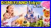 Our_First_Time_At_Disneyland_Tokyo_Was_Magical_Japan_Does_Disney_Best_Rides_Snacks_U0026_Full_Costs_01_ami